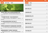 国外代购网站,探索国外购物网站的魅力与攻略