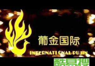 新葡金娱乐,引领时尚娱乐潮流的璀璨明珠
