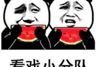 娱乐圈吃瓜的表情包图片,揭秘明星幕后趣闻